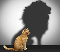 cloud telephone systems make your small business look big cat shadow lion
